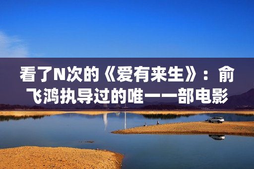 看了N次的《爱有来生》：俞飞鸿执导过的唯一一部电影(看了n次的《爱》的感受)