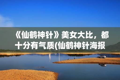 《仙鹤神针》美女大比，都十分有气质(仙鹤神针海报)