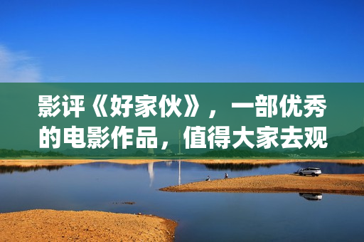 影评《好家伙》，一部优秀的电影作品，值得大家去观看！(好家伙影评全面解析)