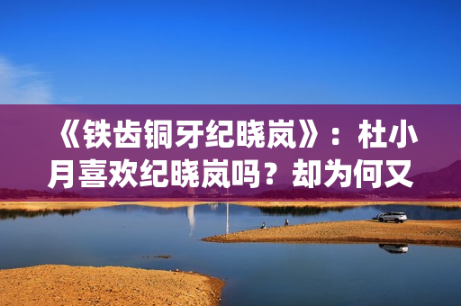 《铁齿铜牙纪晓岚》：杜小月喜欢纪晓岚吗？却为何又两次嫁人？(铁齿铜牙纪晓岚2免费完整版)