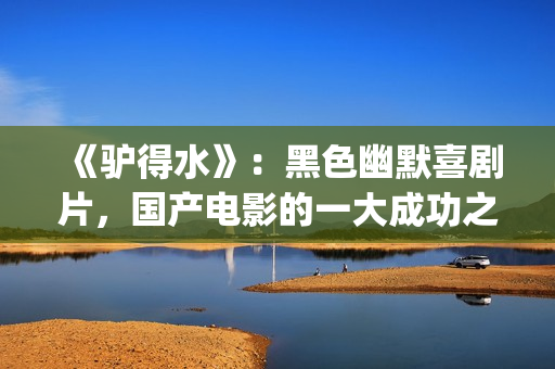 《驴得水》：黑色幽默喜剧片，国产电影的一大成功之作！(驴得水原版)