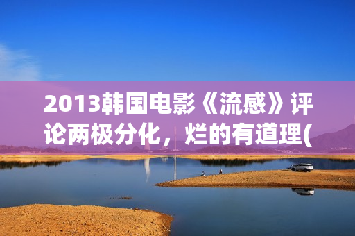 2013韩国电影《流感》评论两极分化，烂的有道理(电影韩国2010)