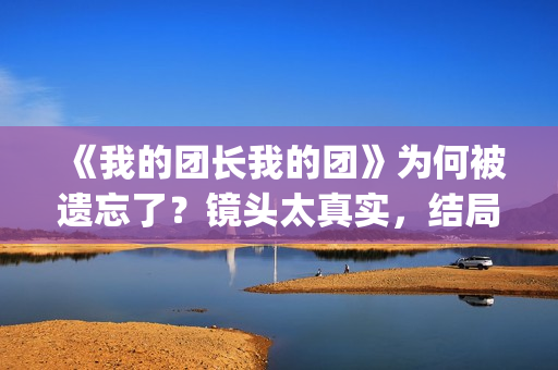 《我的团长我的团》为何被遗忘了？镜头太真实，结局太虐心(我的团长我的团免费完整版在线观看)