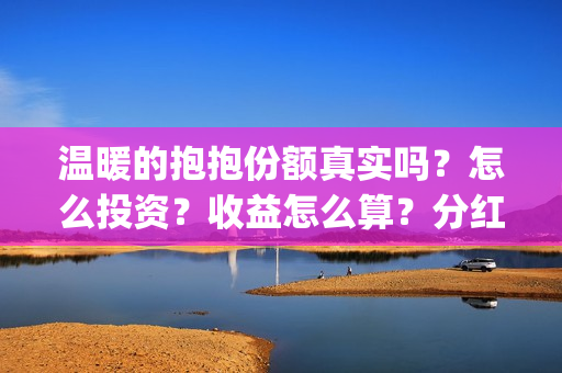 温暖的抱抱份额真实吗？怎么投资？收益怎么算？分红(温暖的抱抱还没分红)