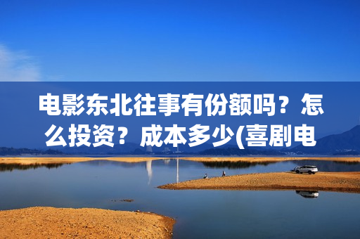 电影东北往事有份额吗？怎么投资？成本多少(喜剧电影东北往事)