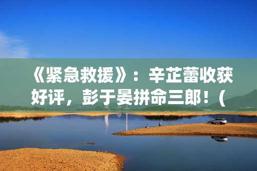 《紧急救援》：辛芷蕾收获好评，彭于晏拼命三郎！(紧急救援演员表名单)