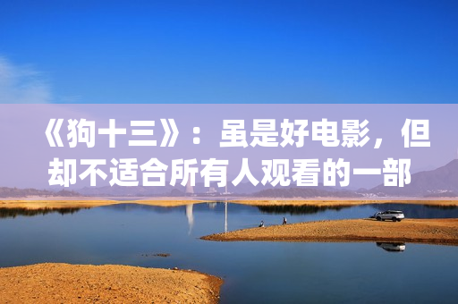 《狗十三》：虽是好电影，但却不适合所有人观看的一部电影！(狗十三说的是什么)