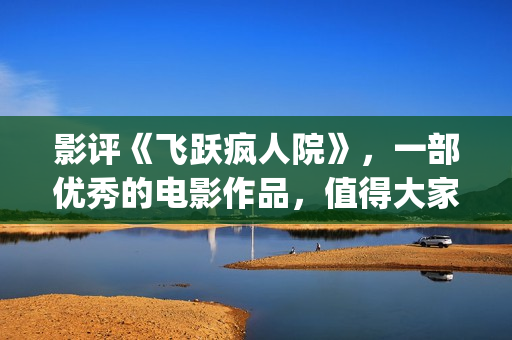 影评《飞跃疯人院》，一部优秀的电影作品，值得大家去观看！(飞跃疯人院台词图片)