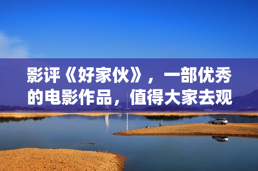 影评《好家伙》，一部优秀的电影作品，值得大家去观看！(电影《好家伙》)