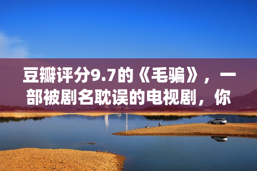 豆瓣评分9.7的《毛骗》，一部被剧名耽误的电视剧，你看过没？(豆瓣评分高达9分以上)