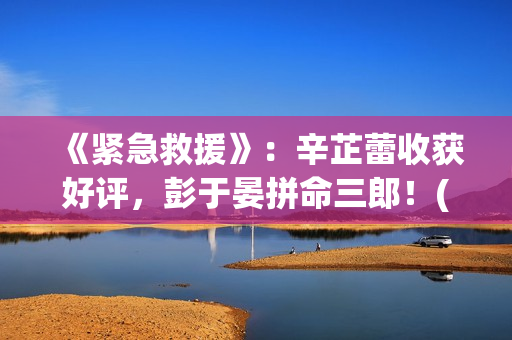 《紧急救援》：辛芷蕾收获好评，彭于晏拼命三郎！(紧急救援第八季)