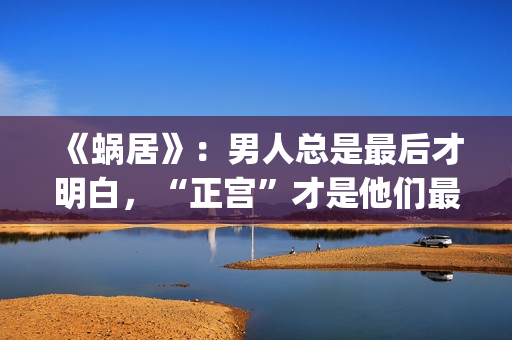 《蜗居》：男人总是最后才明白，“正宫”才是他们最坚定的同盟(蜗居男主角叫啥)