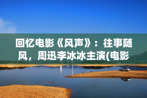 回忆电影《风声》：往事随风，周迅李冰冰主演(电影《风声》内容)