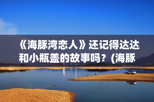 《海豚湾恋人》还记得达达和小瓶盖的故事吗？(海豚湾恋人剧情详细介绍)