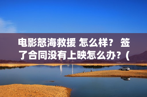 电影怒海救援 怎么样？ 签了合同没有上映怎么办？(电影怒海救援)