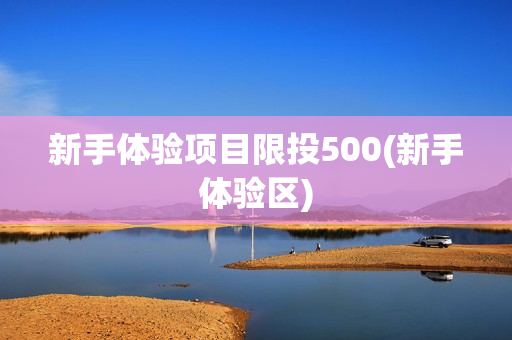 新手体验项目限投500(新手体验区)