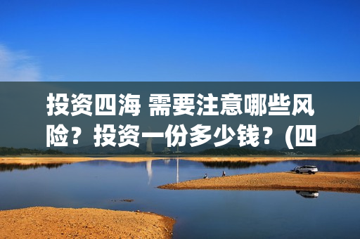 投资四海 需要注意哪些风险？投资一份多少钱？(四海的投资方)