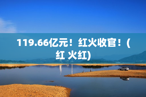 119.66亿元！红火收官！(红 火红)