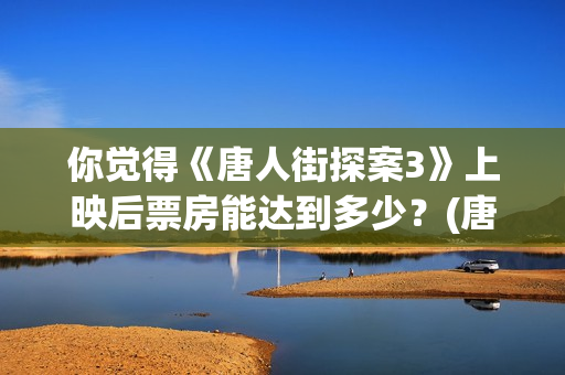 你觉得《唐人街探案3》上映后票房能达到多少？(唐人街讲的什么意思)