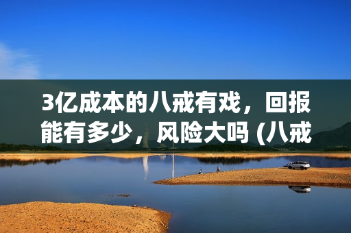 3亿成本的八戒有戏，回报能有多少，风险大吗 (八戒做生意)