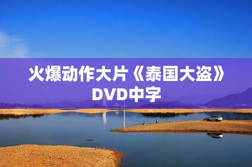 火爆动作大片《泰国大盗》DVD中字