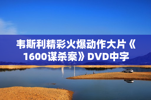 韦斯利精彩火爆动作大片《1600谋杀案》DVD中字