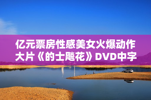亿元票房性感美女火爆动作大片《的士飚花》DVD中字
