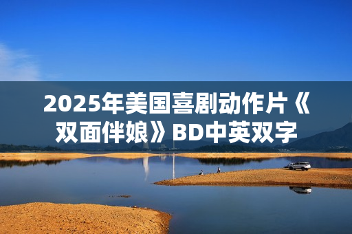 2025年美国喜剧动作片《双面伴娘》BD中英双字