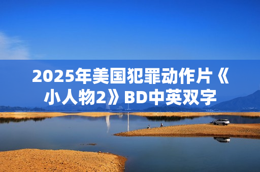 2025年美国犯罪动作片《小人物2》BD中英双字