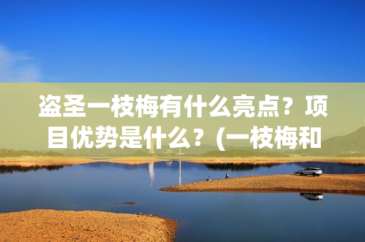 盗圣一枝梅有什么亮点？项目优势是什么？(一枝梅和逆贼)