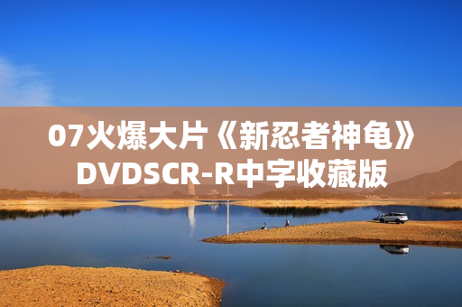 07火爆大片《新忍者神龟》DVDSCR-R中字收藏版