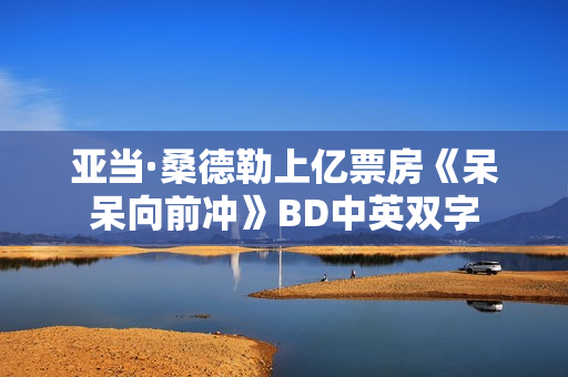 亚当·桑德勒上亿票房《呆呆向前冲》BD中英双字