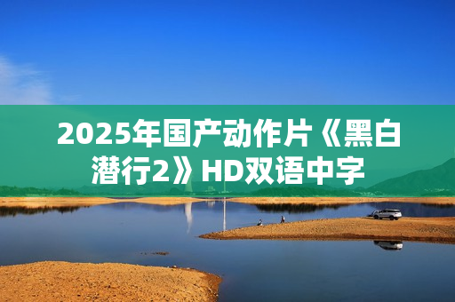 2025年国产动作片《黑白潜行2》HD双语中字