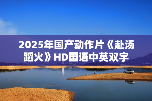 2025年国产动作片《赴汤蹈火》HD国语中英双字