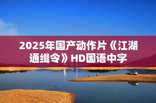 2025年国产动作片《江湖通缉令》HD国语中字