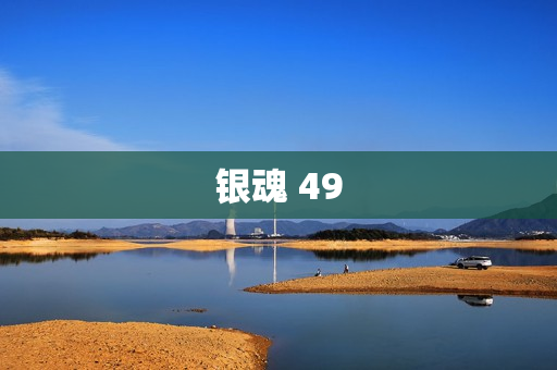银魂 49