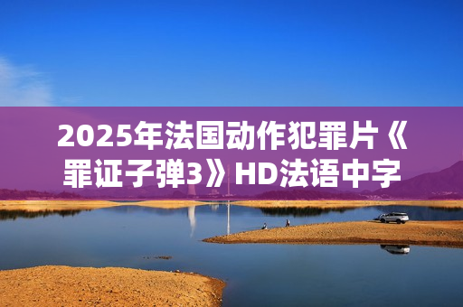 2025年法国动作犯罪片《罪证子弹3》HD法语中字