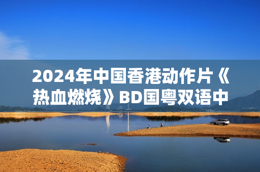 2024年中国香港动作片《热血燃烧》BD国粤双语中字