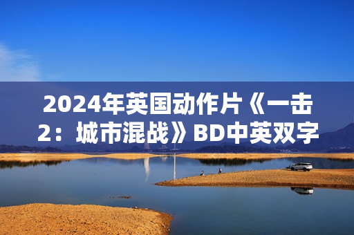 2024年英国动作片《一击2：城市混战》BD中英双字