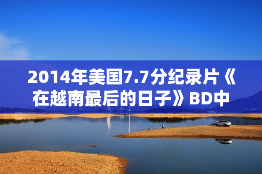 2014年美国7.7分纪录片《在越南最后的日子》BD中英双字