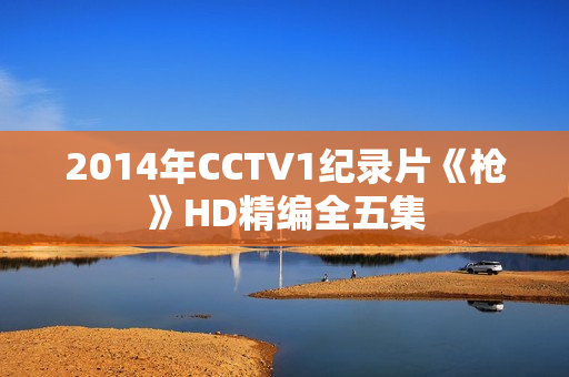 2014年CCTV1纪录片《枪》HD精编全五集