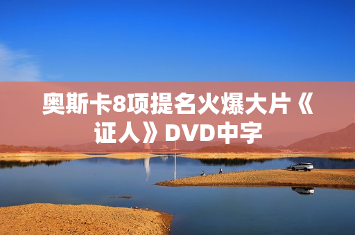 奥斯卡8项提名火爆大片《证人》DVD中字