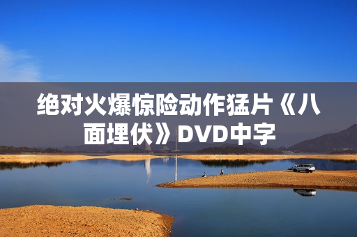 绝对火爆惊险动作猛片《八面埋伏》DVD中字