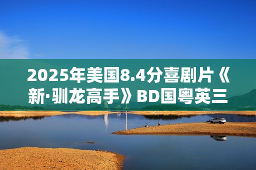 2025年美国8.4分喜剧片《新·驯龙高手》BD国粤英三语中英双字