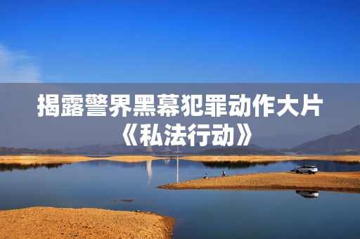 揭露警界黑幕犯罪动作大片《私法行动》