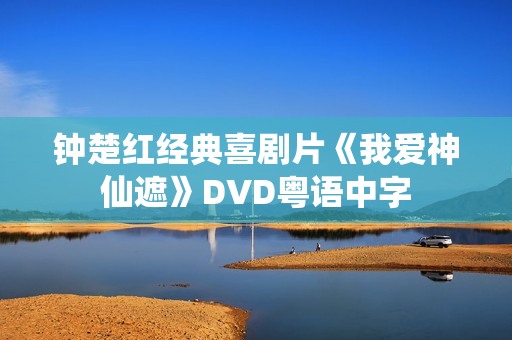 钟楚红经典喜剧片《我爱神仙遮》DVD粤语中字