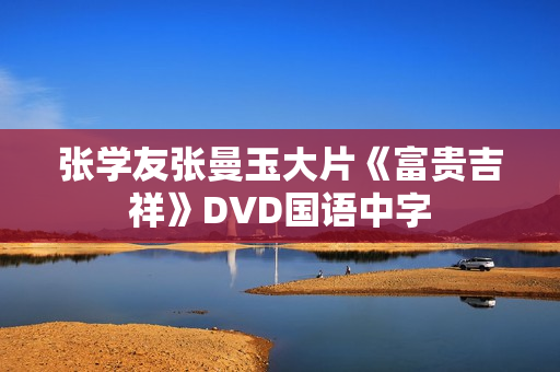 张学友张曼玉大片《富贵吉祥》DVD国语中字