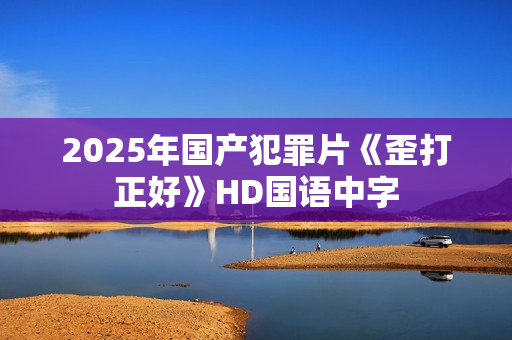 2025年国产犯罪片《歪打正好》HD国语中字
