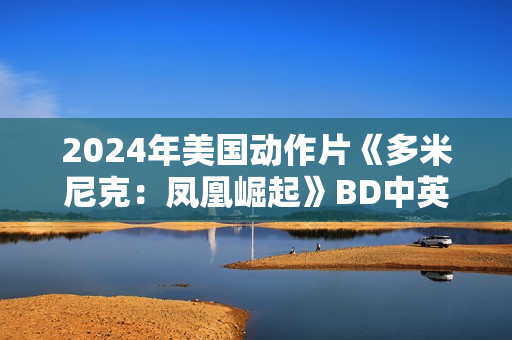 2024年美国动作片《多米尼克：凤凰崛起》BD中英双字