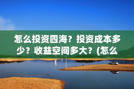 怎么投资四海？投资成本多少？收益空间多大？(怎么投资四海集团公司)